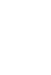 Walrus Audio Walrus Audio
